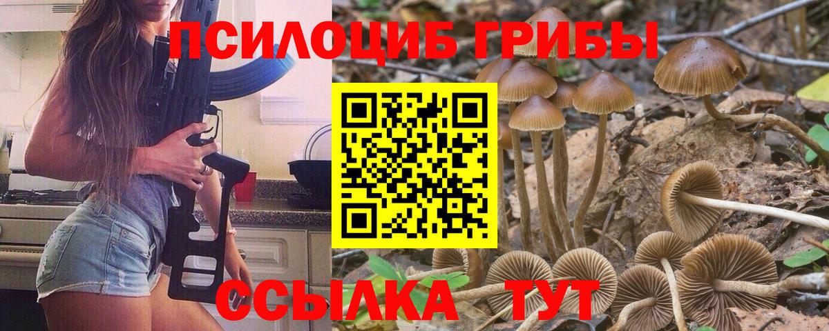 Галлюциногенные грибы мухоморы Геленджик