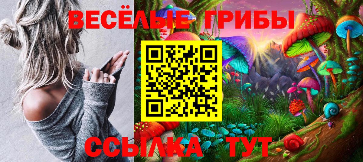Геленджик  Псилоцибиновые грибы прущие грибы  Вход с VPN 
